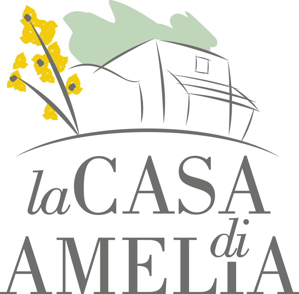 la casa di amelia